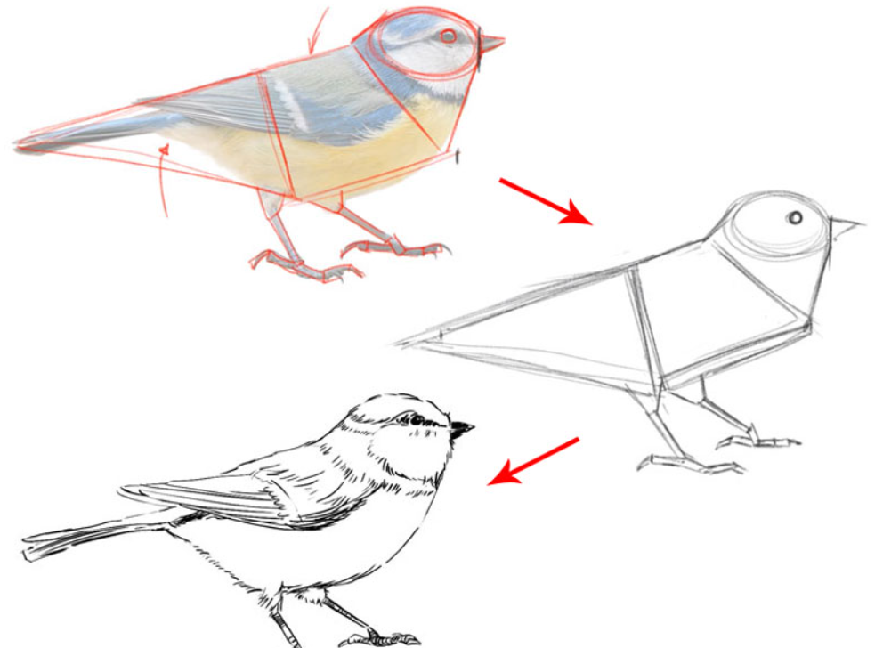 natural basic shapes